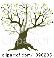 Poster, Art Print Of Mature Olive Tree