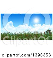 Background Of 3d Cattail Brush Against Blue Sky With Clouds