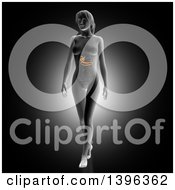 Clipart Of A 3d Anatomical Woman With Visible Biliary On Gray Royalty Free Illustration by KJ Pargeter