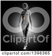 Poster, Art Print Of 3d Anatomical Woman With Visible Kidneys On Gray