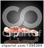 Poster, Art Print Of 3d Anatomical Man Doing Pushups With Visible Muscles On Gray