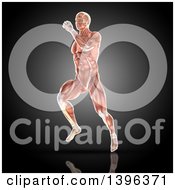 3d Anatomical Man With Visible Muscles Running On A Dark Background