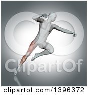 Poster, Art Print Of 3d Anatomical Man Fighting And Jumping With Visible Leg Muscles On Gray