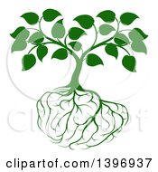 Poster, Art Print Of Leafy Green Tree With Brain Roots