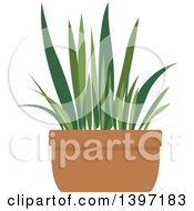 Poster, Art Print Of Potted Plant