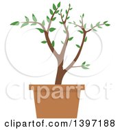 Poster, Art Print Of Potted Plant