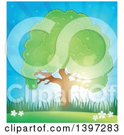 Poster, Art Print Of Lush Tree With A Green Canopy Against A Sunny Sky