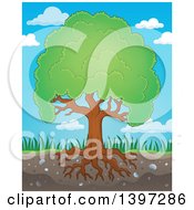 Poster, Art Print Of Lush Tree With A Green Canopy And Visible Roots Against Sky