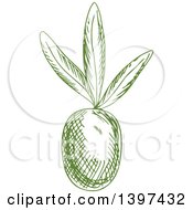 Clipart Of A Green Sketched Olive Royalty Free Vector Illustration
