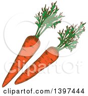 Poster, Art Print Of Sketched Carrots