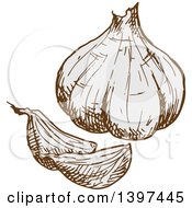 Poster, Art Print Of Sketched Garlic Bulb