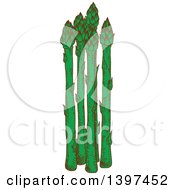 Clipart Of A Sketched Group Of Asparagus Stalks Royalty Free Vector Illustration