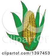 Clipart Of A Sketched Ear Of Corn Royalty Free Vector Illustration