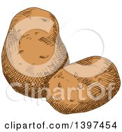 Clipart Of Sketched Potatoes Royalty Free Vector Illustration by Vector Tradition SM