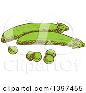 Clipart Of Sketched Peas And Pods Royalty Free Vector Illustration by Vector Tradition SM