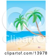 Message In A Bottle Near Two Starfish And Palm Trees On A Deserted Tropical Beach Clipart Illustration