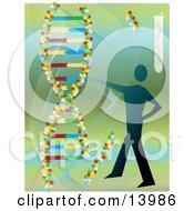 Human Silhouette And DNA Double Helixes Clipart Illustration by Rasmussen Images #COLLC13986-0030