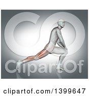 Clipart Of A 3d Anatomical Man Stretching His Legs With Visible Muscles On Gray Royalty Free Illustration