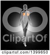Clipart Of A 3d Anatomical Woman With Visible Internal Breast Makeup On Black Royalty Free Illustration by KJ Pargeter
