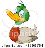 Cartoon Happy Mallard Drake Duck