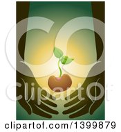 Poster, Art Print Of Seedling Plant Supported By Hands