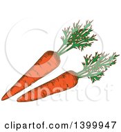 Clipart Of Sketched Carrots Royalty Free Vector Illustration