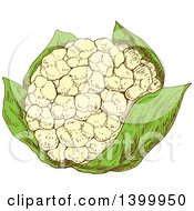 Poster, Art Print Of Sketched Cauliflower