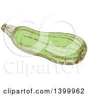 Clipart Of A Sketched Zucchini Royalty Free Vector Illustration