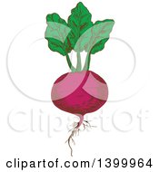 Clipart Of A Sketched Beet Royalty Free Vector Illustration by Vector Tradition SM