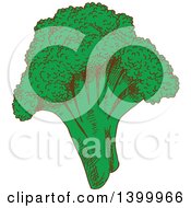 Poster, Art Print Of Sketched Broccoli Head