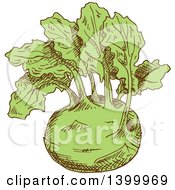 Clipart Of A Sketched Kolhrabi Royalty Free Vector Illustration