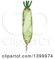 Clipart Of A Sketched Daikon Radish Royalty Free Vector Illustration by Vector Tradition SM