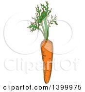 Poster, Art Print Of Sketched Carrot