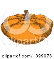 Clipart Of A Sketched Pumpkin Royalty Free Vector Illustration
