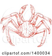 Clipart Of A Sketched Crab Royalty Free Vector Illustration