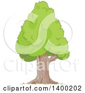 Poster, Art Print Of Mature Pyramidal Tree With A