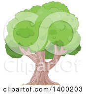 Poster, Art Print Of Mature Tree With A