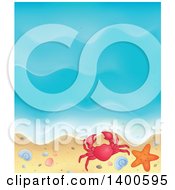 Poster, Art Print Of Background Of Ocean Waves On A Sandy Beach With Pebbles A Shell Crab And Starfish