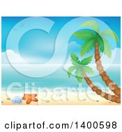 Clipart Of A Background Of A Sandy Beach With Palm Trees A Shell And Starfish Royalty Free Vector Illustration