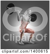 Poster, Art Print Of 3d Anatomical Male Bodybuilder Working Out With Visible Muscles Used Doing Barbell Squats On Gray