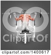 Clipart Of A 3d Anatomical Male Bodybuilder Working Out With Visible Muscles Used Doing Barbell Press On Gray Royalty Free Illustration by KJ Pargeter
