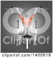 Poster, Art Print Of 3d Anatomical Male Bodybuilder Working Out With Visible Muscles Used Doing Seated Barbell Press On Gray