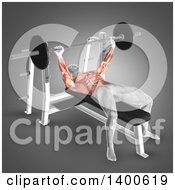 Poster, Art Print Of 3d Anatomical Male Bodybuilder Working Out With Visible Muscles Used Doing Bench Press On Gray