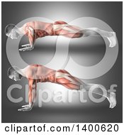 Poster, Art Print Of 3d Anatomical Male Bodybuilder Working Out With Visible Muscles Used Doing Push Ups On Gray