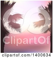 Poster, Art Print Of Background Of Silhouetted Palm Trees Over A Pink Sunset