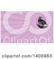 Retro Black And White Quail Bird And Grass And Pink Rays Background Or Business Card Design