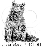 Poster, Art Print Of Black And White Bear Sitting