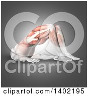 Clipart Of A 3d Fit Man Shown Stretching And Doing The Double Leg Bridge Pose With Visible Muscles On A Gray Background Royalty Free Illustration