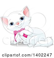 Cute Blue Eyed White Kitty Cat Wearing A Pink Bow And Lifting A Paw