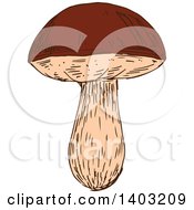 Clipart Of A Sketched Mushroom Royalty Free Vector Illustration